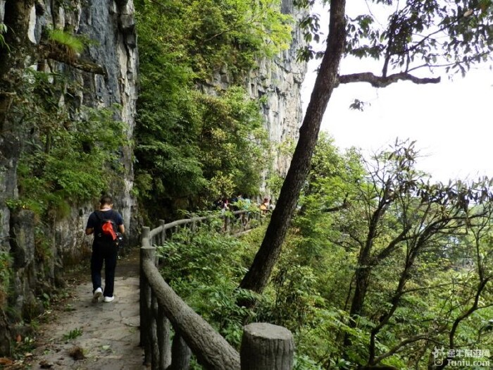 【柴埠溪旅游攻略】柴埠溪——湖北的"小张家界"