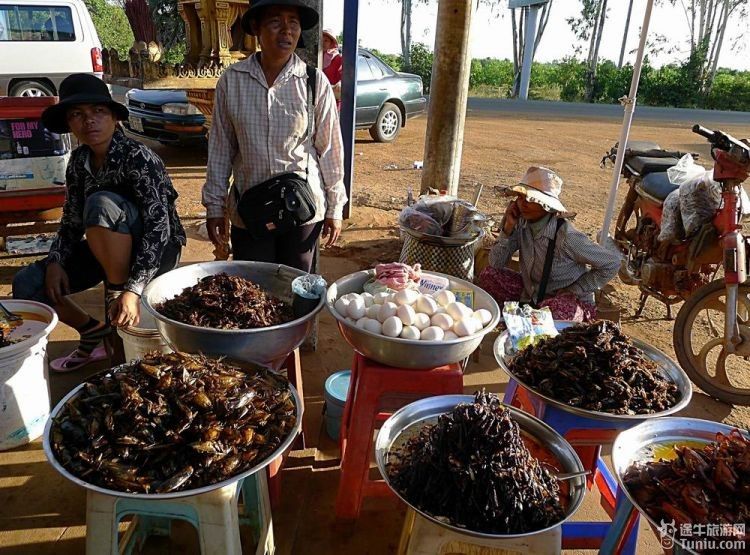 摄于暹粒至金边途中,柬埔寨人什么都敢吃.