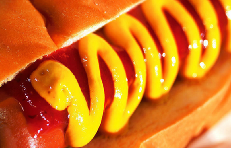 美国东部有哪些好玩的地方_去美国东部旅游需