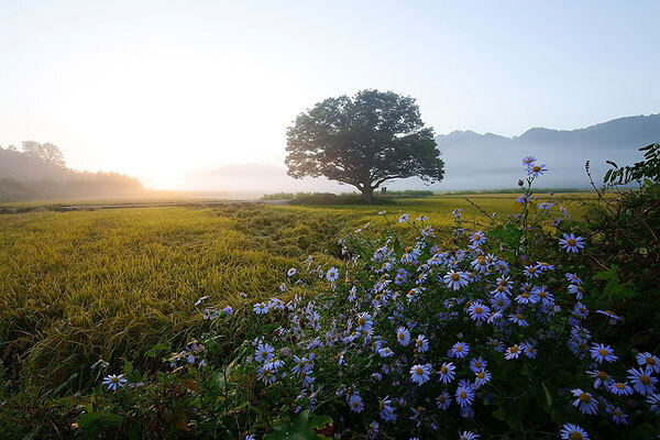 俄罗斯旅游须知_俄罗斯著名景点_俄罗斯旅游