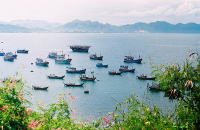 芽庄四岛游