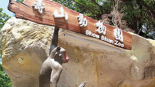 寿山动物园游玩
