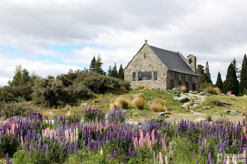 【新西兰旅游攻略】印象新西兰