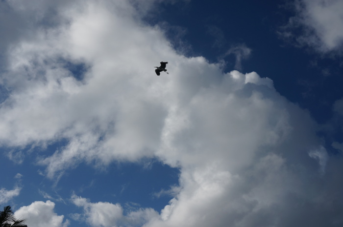 为你而来 双鱼岛全程攻略、精选美图_马累南