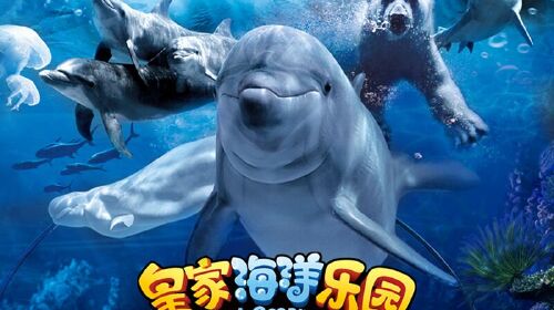 抚顺皇家极地海洋馆1日游>抚顺皇家极地海洋馆