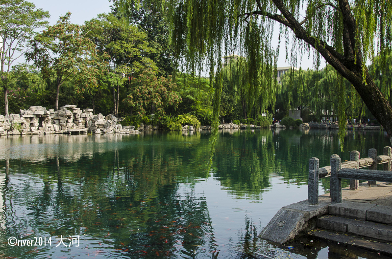 龙潭观鱼是五龙潭公园的一处美景,生活在五
