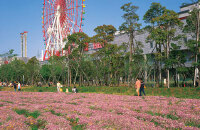 海中道海滨公园玩摩天轮