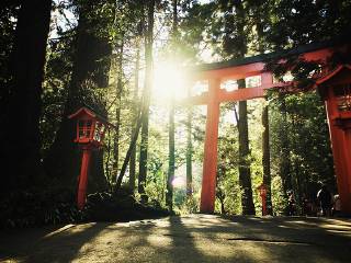 日本東京游花多少錢_日本東京游跟團(tuán)多少錢2021_日本東京自由行還是跟團(tuán)好