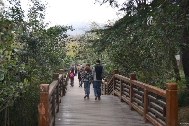 【南京紫金山旅游攻略】钟灵毓秀紫金山,登高望远常锻炼