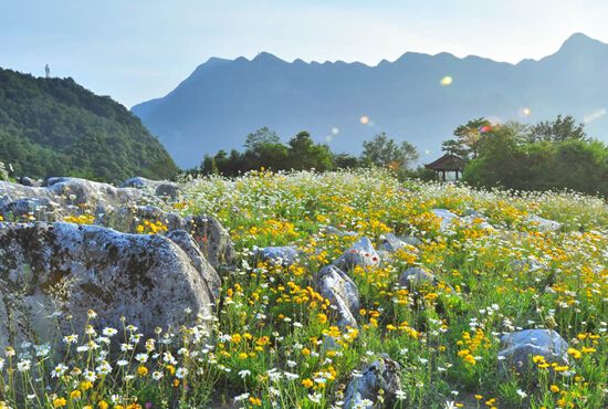 四川药王谷风景区开放时间_四川药王谷风景区最佳旅游时间_四川药王谷