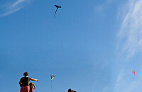 昭和之森放风筝