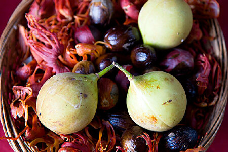 food_picture