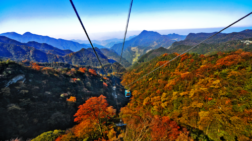 南川金山-金-天星小镇1日游含100元索道和电瓶车 纯玩零购物
