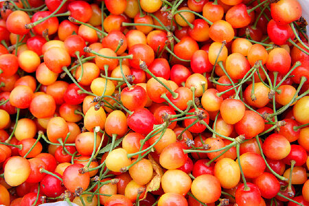 food_picture