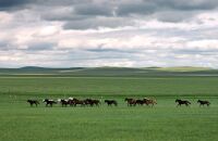 游览生态恢复保护区