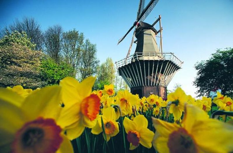 荷兰游 费用_荷兰旅游报价_荷兰旅游指南_最新