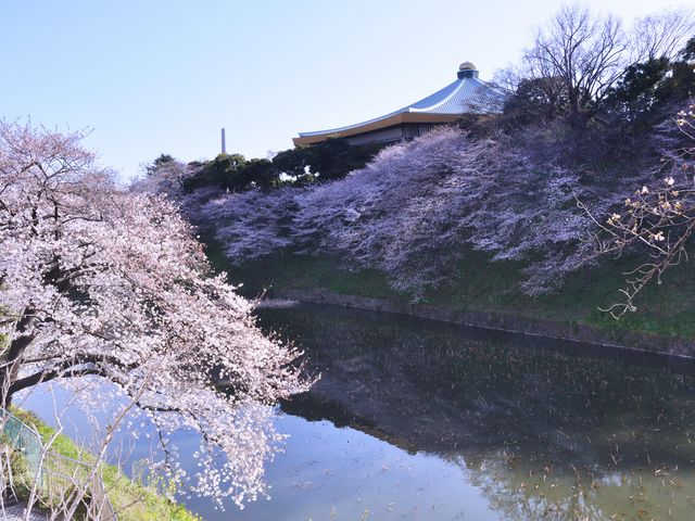 千鸟之渊