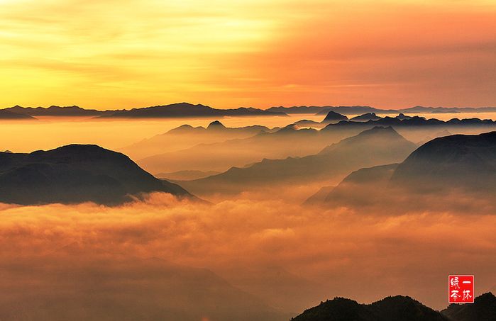 八台山盛夏日出!