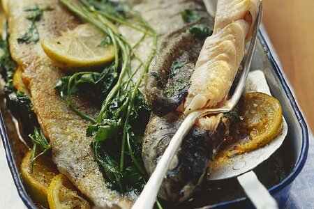 food_picture