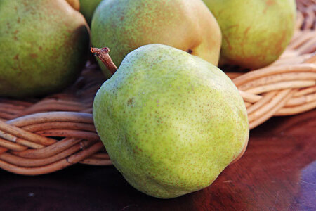 food_picture