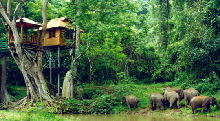 长沙亲子旅游爸爸去哪儿同游西双版纳,感受它