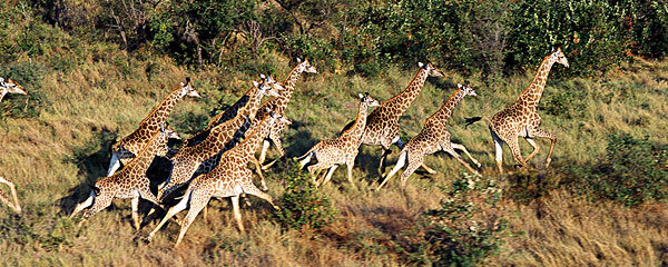 南非三日游_南非三日游指南_南非三日游攻略