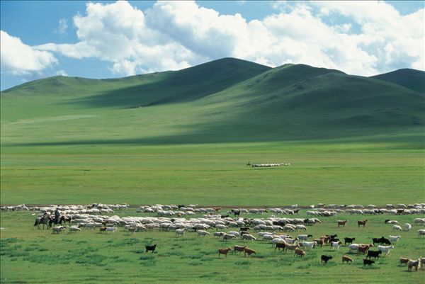 我们去看看辽阔的呼伦贝尔草原_内蒙古旅游攻