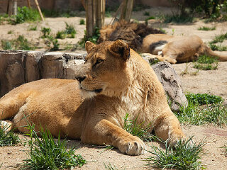 摩纳哥有什么好玩的地方_摩纳哥游玩去哪好_