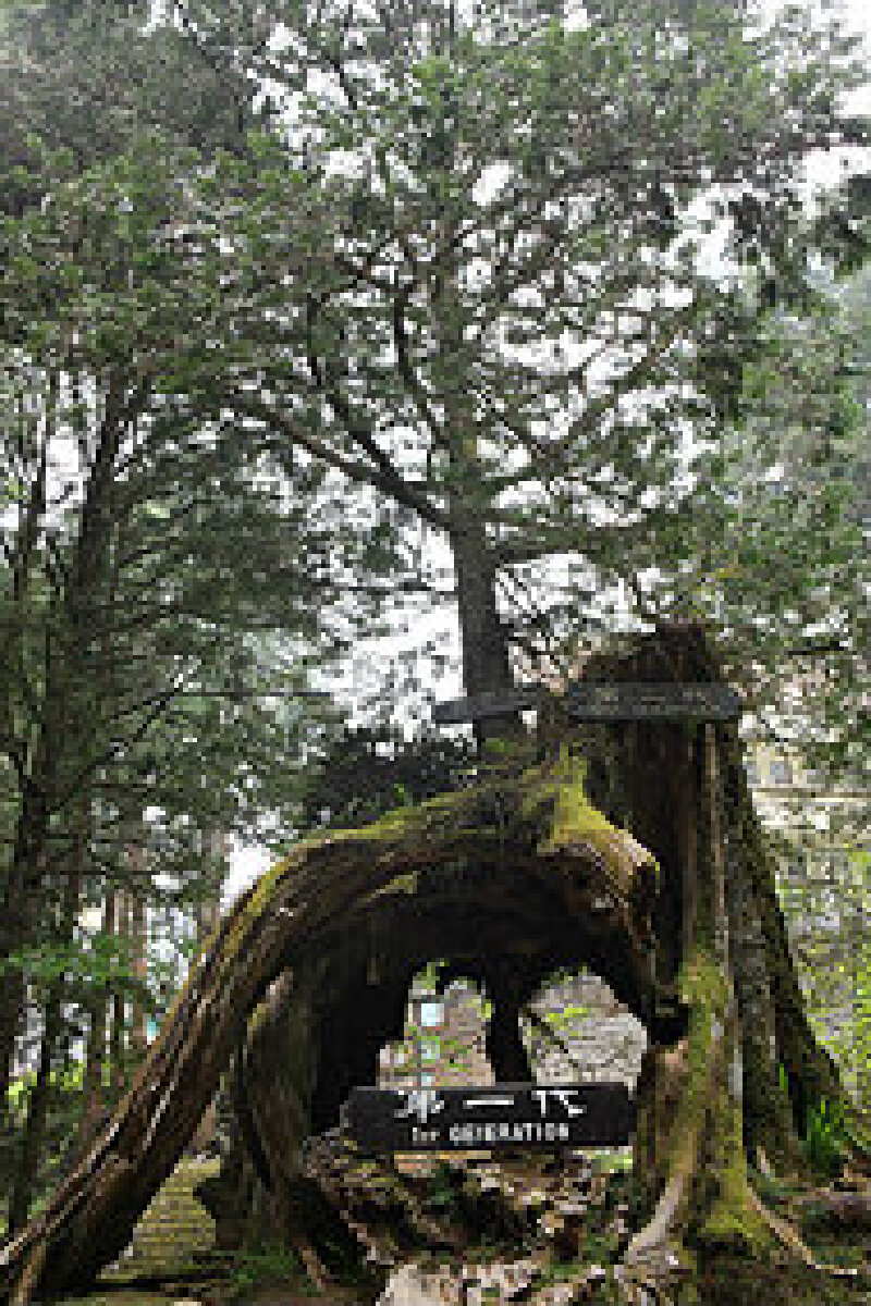9月份_台湾旅游_最适合到台湾的时间_感受日