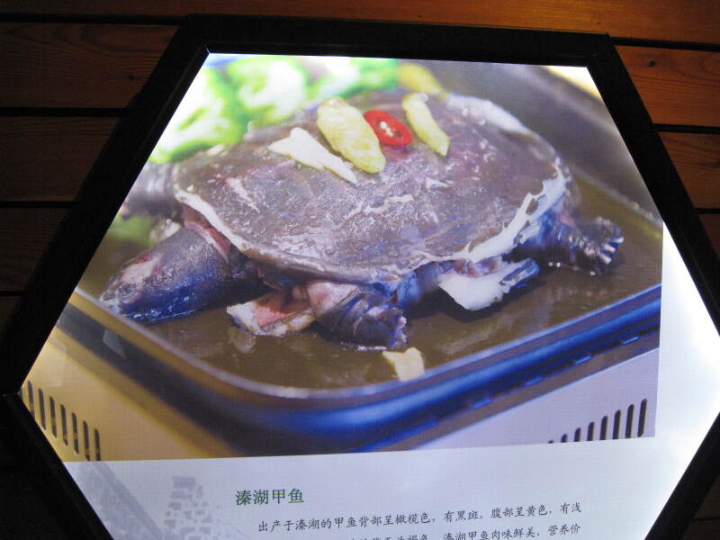溱湖甲鱼:具有大,厚,团,黑四大特点,经常食用能滋阴补肾,凉血降压.