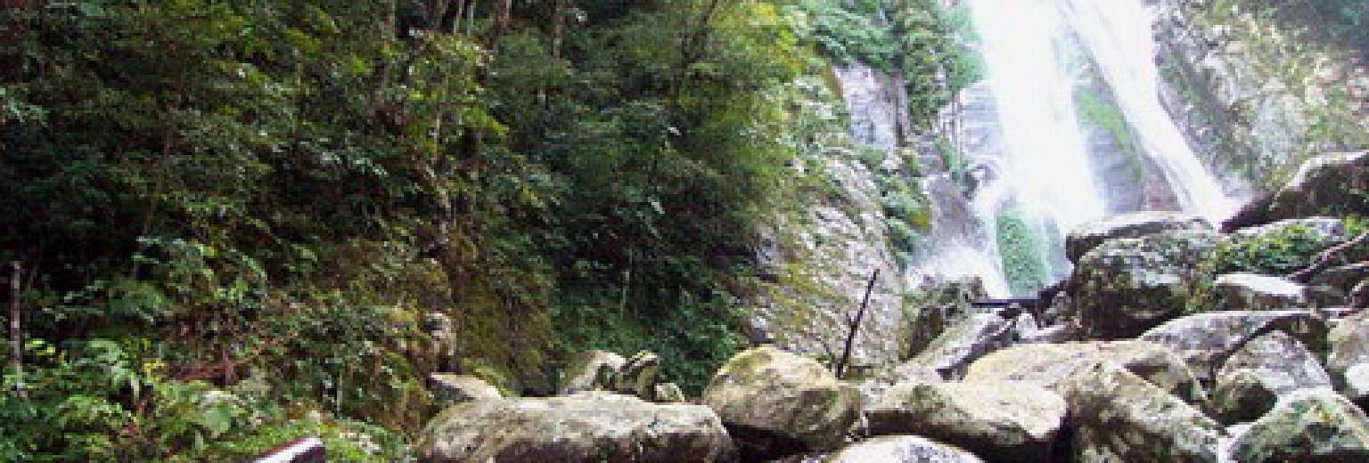 海南旅游景点 鹦哥岭旅游区旅游攻略  有1张图 新 人 专 享 ￥100