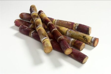 food_picture