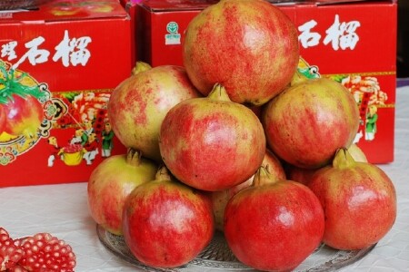 food_picture