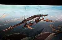 在布里斯班做一回文艺咖