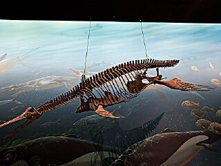 布里斯班有什么好玩的地方_布里斯班游玩去哪