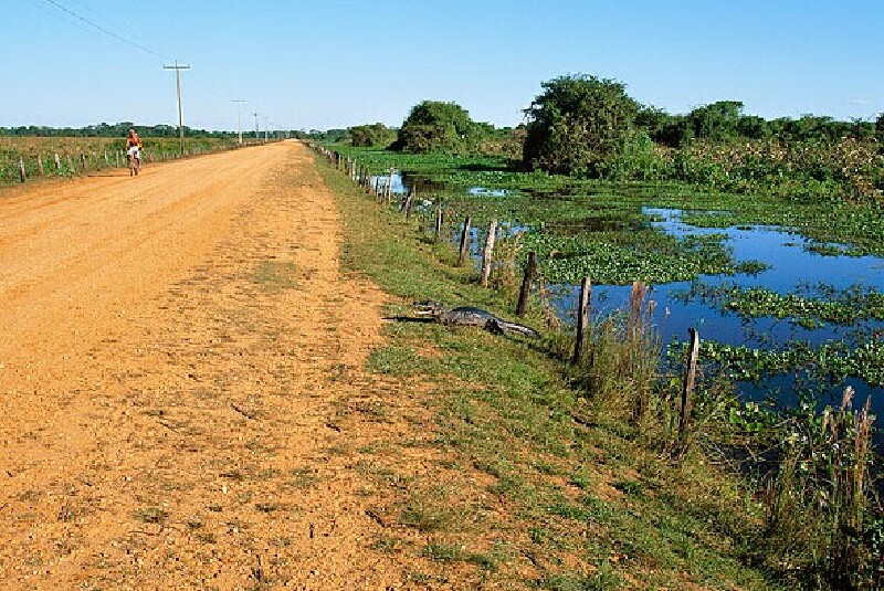 2013巴西旅游攻略_巴西有哪些好玩的地方_巴