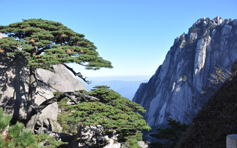 安徽省内旅游景点推荐_安徽省内旅游线路行程