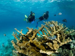 埃及有什么好玩的地方_埃及游玩去哪好_去埃