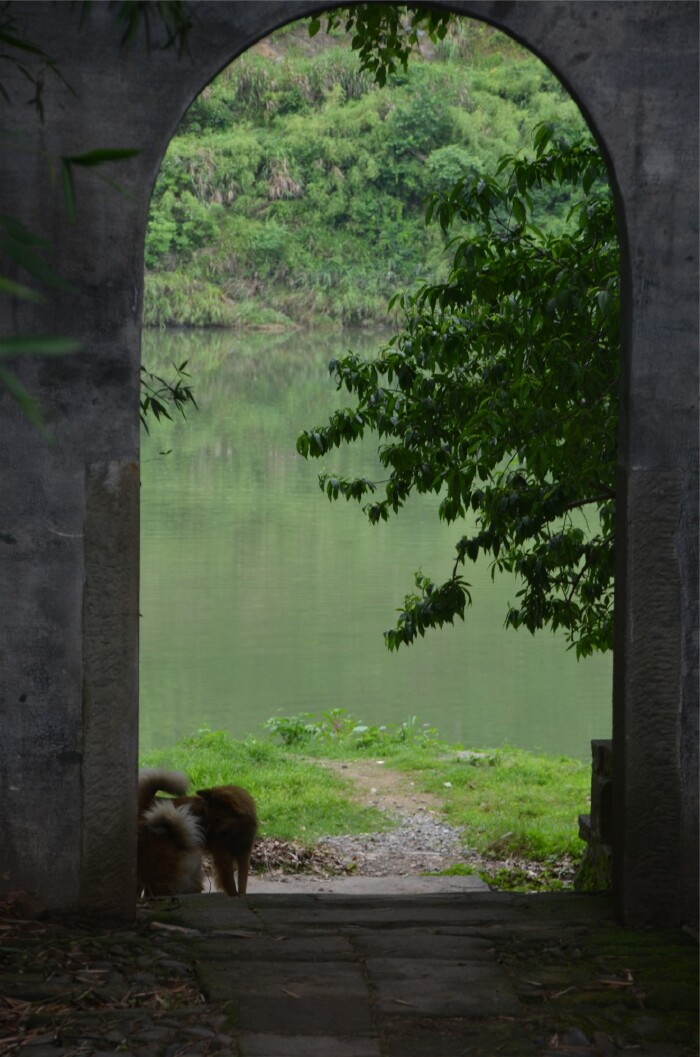 新安江山水画廊-徽州古城-屯溪2日游记 天马—游客
