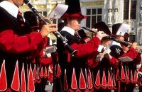 观看军乐队分列式表演