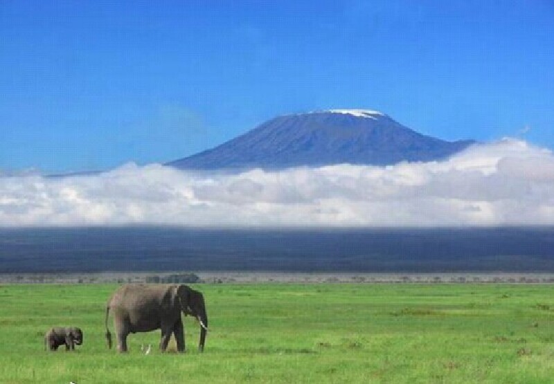 澳门风情v风情_非洲赌场旅游景点介绍_非洲风非洲巴士攻略风情图片