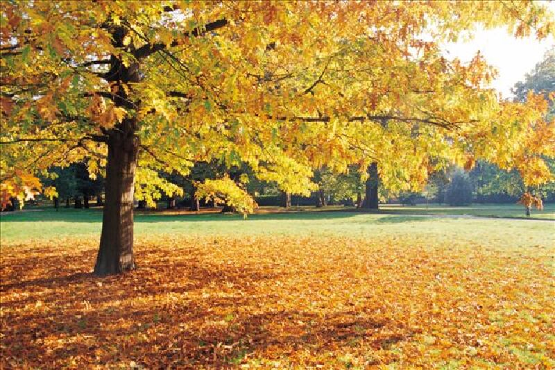 英国签证资料有哪些_英国签证资料怎么准备_