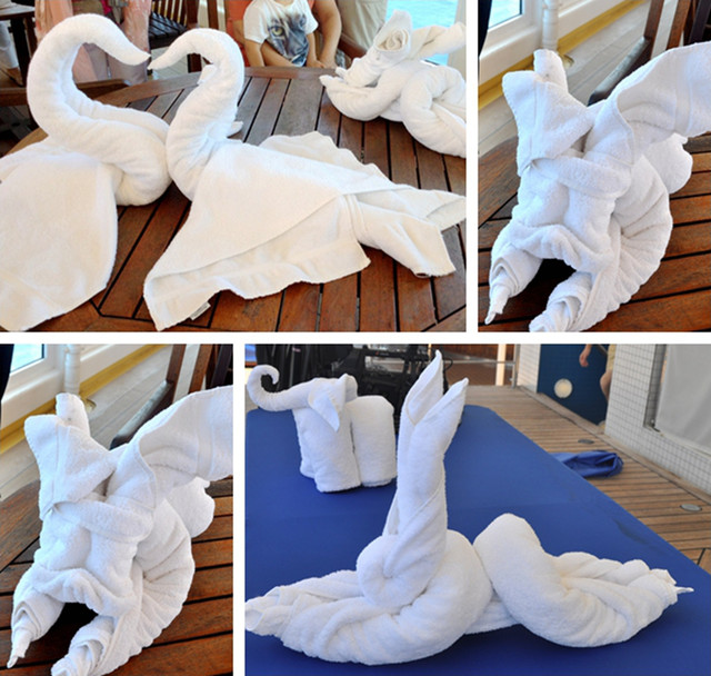 在泳池边观摩学习浴巾折叠艺术(兔子,大象,天鹅