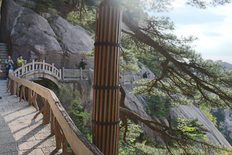 难忘的黄山之行_黄山门游记_途牛