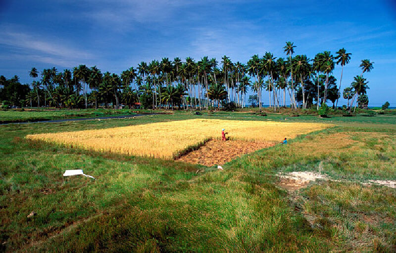 自助北京一日游最佳线路
