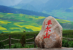 景点模块 
