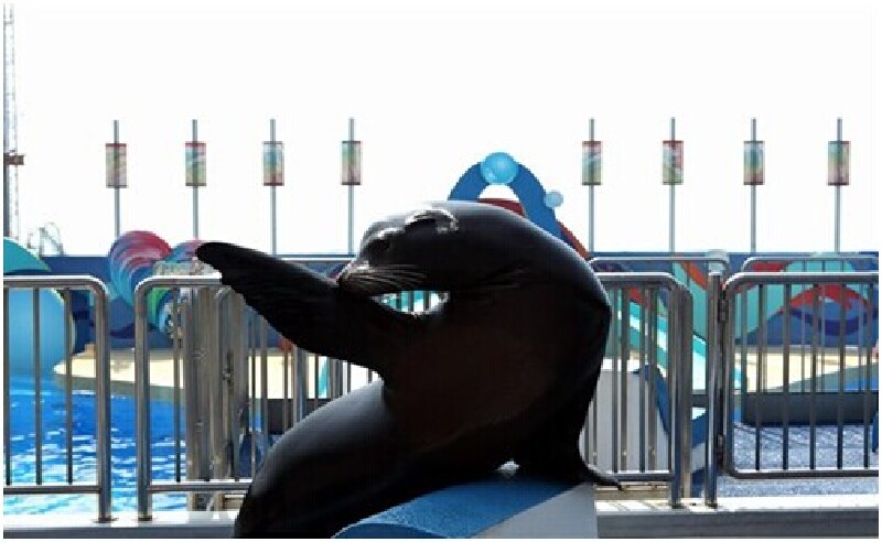 香港旅游点_景点攻略_最新香港旅游资讯