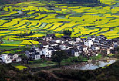景点模块 