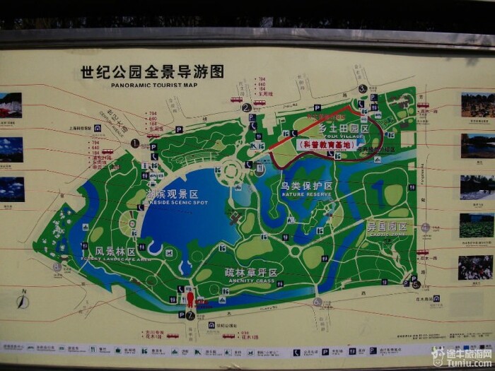 这是一张经过后期处理的照片,起名为《黄昏》。照片中的湖正是面积为12.5公顷的镜天湖。它由人工挖掘而成,最深处达5米,目前是上海地区面积最大的人工湖泊。镜天湖与公园外缘的张家浜相通,湖的东面建有水闸,用以控制湖内的水位。每当微风拂过,湖水波光粼粼,碧波荡漾;每当天高气爽,湖水清澈如镜,天空的云彩被映照的栩栩如生,故名为镜天湖。