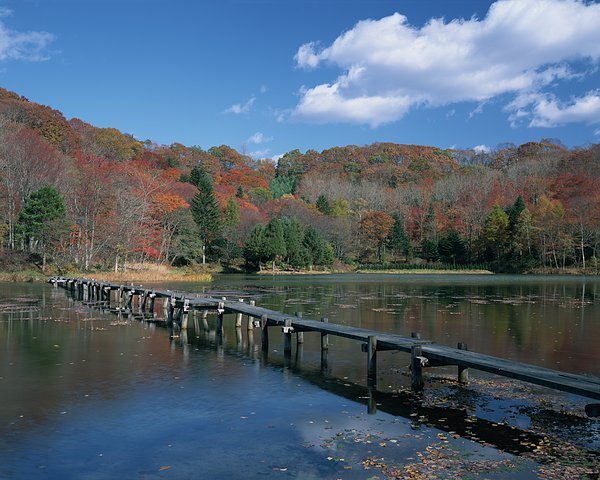 郫县古城遗址--一场说走就走的旅程_行者沐云